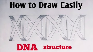How to draw DNA double helix structure Easy