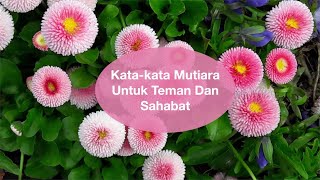 Kata-kata Mutiara Bijak Persahabatan Yang Menyentuh dan Inspiratif  (Untuk Teman dan Sahabat)