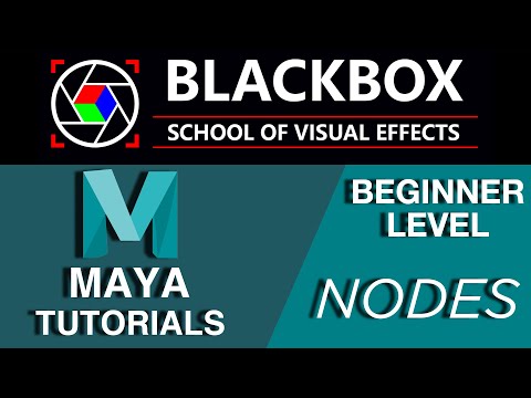 Maya For Beginners 02: Transform Node and Shape Node