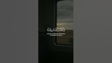 زين للذين كفروا الحياة الدنيا ||حالات واتس قرآن||تلاوة #طارق_محمد