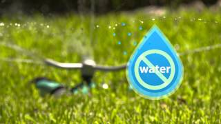 Corpus Christi Water Conservation Ad 4