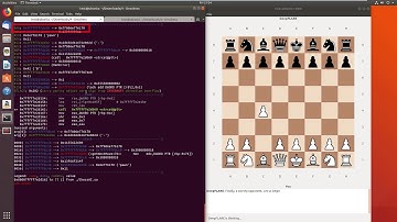 Hacking the Chess "AI" - DNS Chess - Flare On 2019 Challenge 0x4