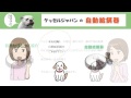 ケッセルジャパン　自動給餌器　「PET-DISH」 (PD-06)