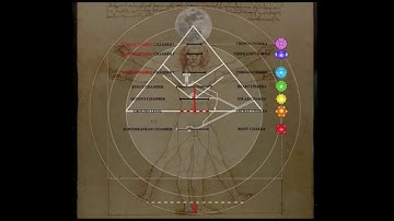 The Real Da Vinci Code