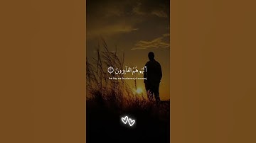 إني جزيتهم اليومَ | القارئ إسلام صبحي #تلاوة_هادئة