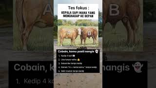 sapi apa ya, kamu pasti nangis #trending #challenge #funny #meme #memes #shortvideo #fyp #shorts