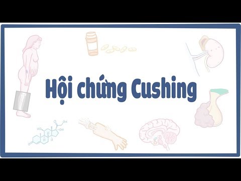 Hội chứng Cushing | Osmosis Vietnamese