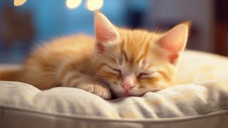 Calming Music for Anxious Cats: Soothing Sounds for Deep Relaxation and Sleep