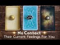 No Contact 👉 Their Current Feelings For You 👀 PICK A CARD Tarot Love Reading Brutally Honest