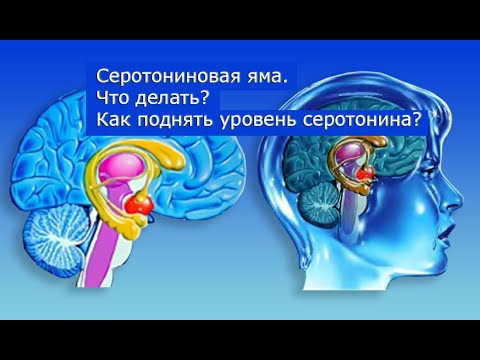 Серотониновая яма,  Что делать? Как поднять уровень серотонина?