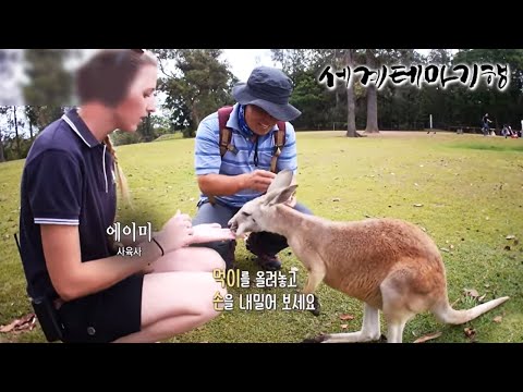 세계테마기행 - 겨울엔 여기- 한여름의 보물섬, 호주 동부_#003