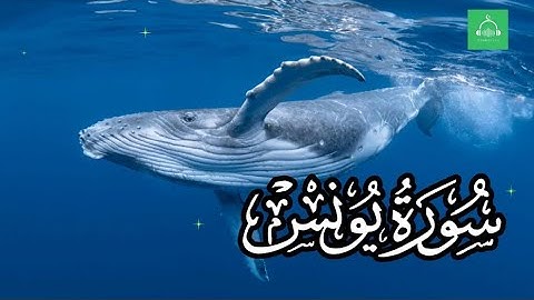 سورة يونس بصوت القارئ الشيخ مشارى بن راشد العفاسى رواية شعبة