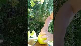 Couper Les Coing Facilement