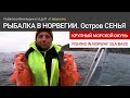 Рыбалка в Норвегии на острове Сенья. Морской окунь. Fishing in Norway. Senja island. Big Sea bass