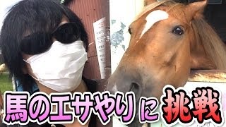 ホラーゲームぶっ通し生放送 キヨ レトルト 浅草花やしき レトルト キヨ Youtu Be Ytw1u Hixfm Youtube