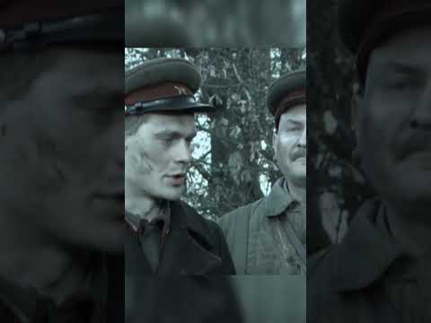 Гриша и лётчики дошли до часового. Майор Тимофеев даёт замечание. #shorts #вов #1942 #фильмы #сериал