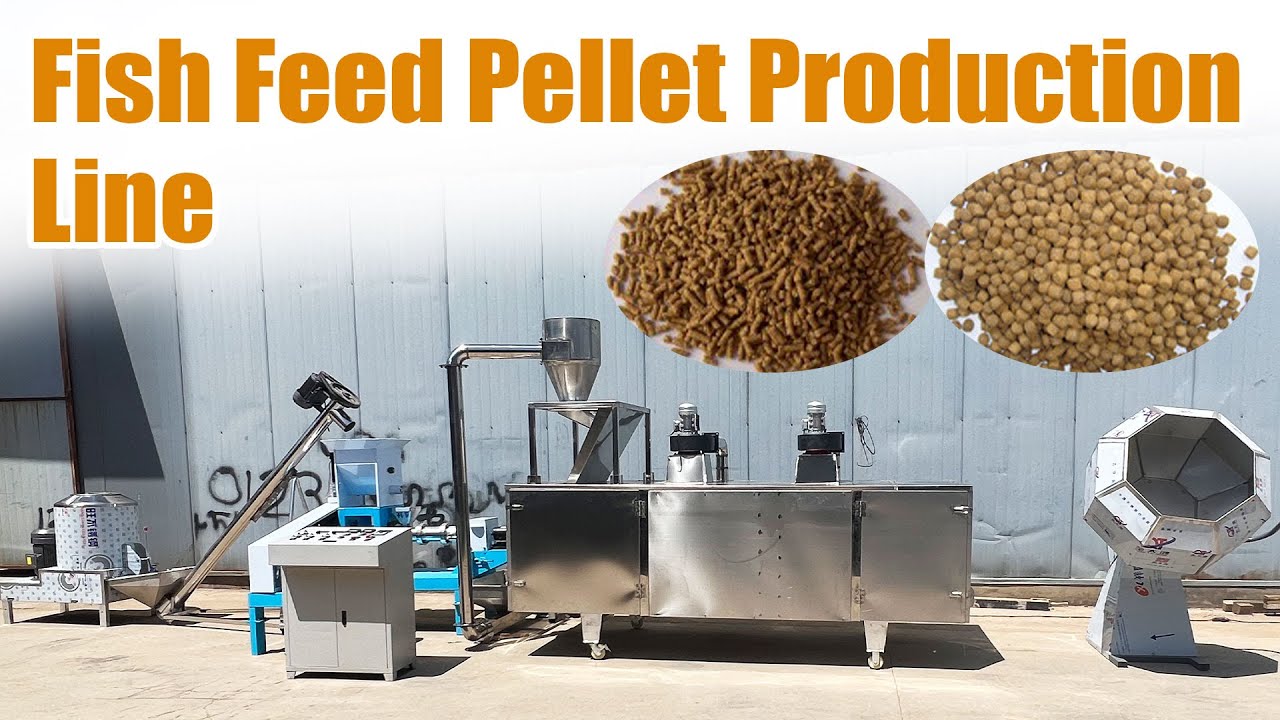 Fully-Automatic Fish Feed Pellet Production Line | Complete Floating Feed Making Process🐟🏭