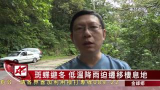 01 20160130台東地方新聞 東台有線電視23分14秒