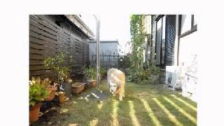 20121028 1