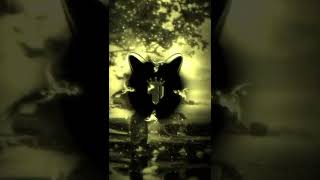 Funk Selvagem  Ultra  Slowed bass bassboosted slowed