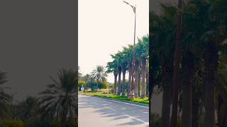 Unbelievable Beautiful Ras Tanura