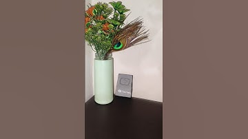 #imaginedragons #shortvideos #shortviralkaisekare #trendingshorts #viralvideo