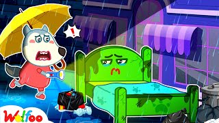 Poor Bed, Please Come Back Home! Wolfoo Learns Good Habits for Kids | Wolfoo Channel New Episodes