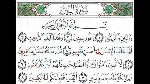 القارئ الفقيه الشيخ محمد صلاح الحبشي يقرأ صوت التين على مقام الكرد