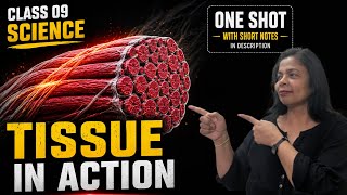 Class 9 Science | Chapter 3 | Tissues inAction | One Shot | Exploration New NCERTBook | CBSE