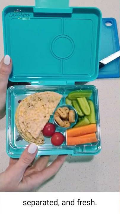 Bento Snack Box  Nothing Mini About Yumbox Snack, Now Larger – Mini Hippo