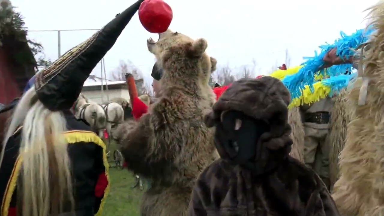 Capra Vale 2018-2019 Datini si obiceiuri de iarna Tudora. partea 2