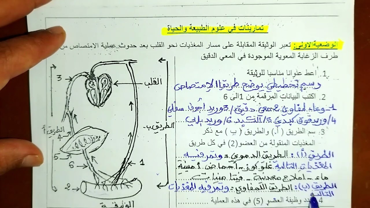 أقوى حل تمارينات مقترحة بقوة في الإختبار الأول رابعة متوسط 2023/2022