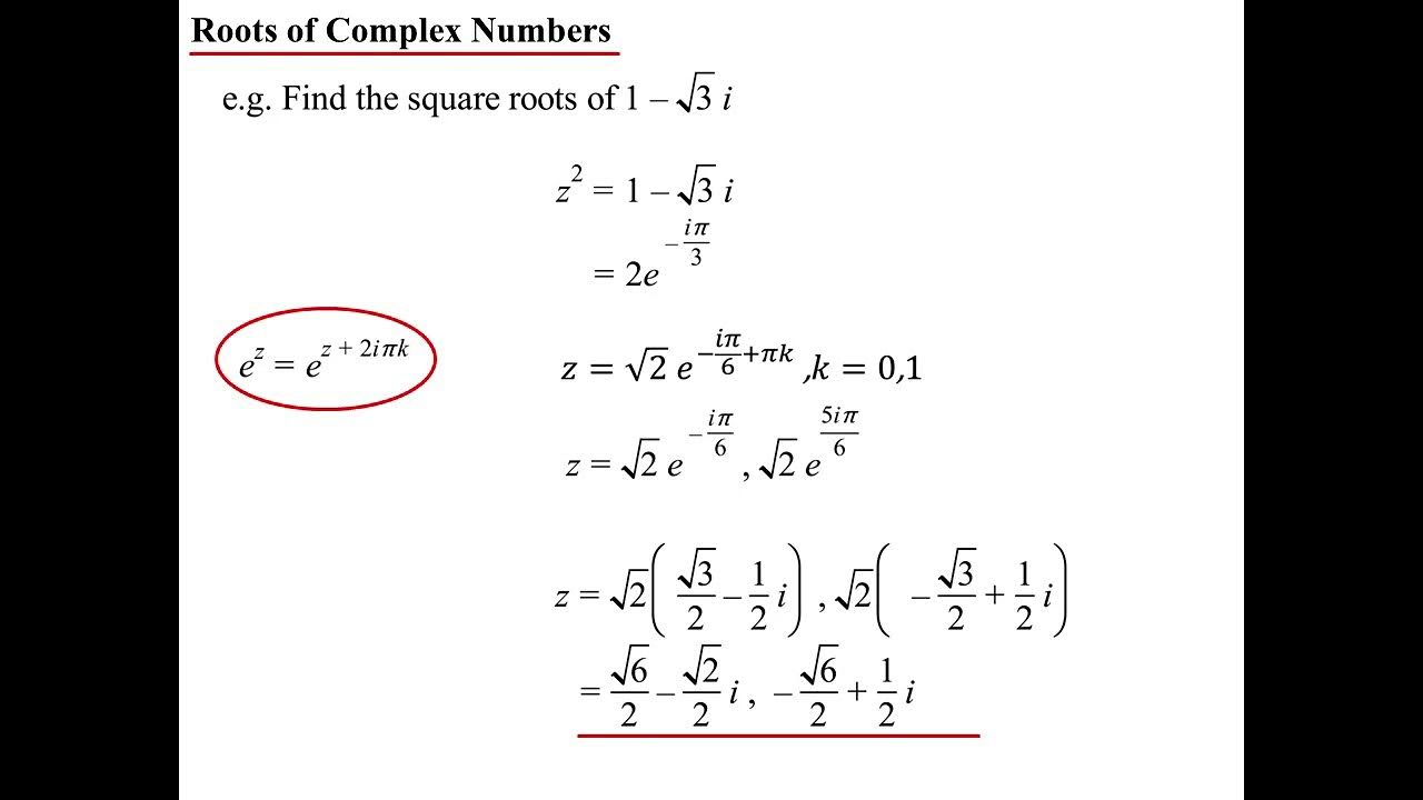12X2 T02 05 applications of eulers formula 2024 YouTube