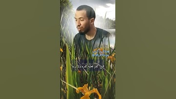 سورة فاطر الاية 38-39