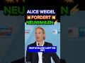 💥WEIDEL FORDERT KONSEQUENZEN ⚡ #afd #höcke #siegmund #chrupalla #merz #cdu #spd #2026 #mai #politik