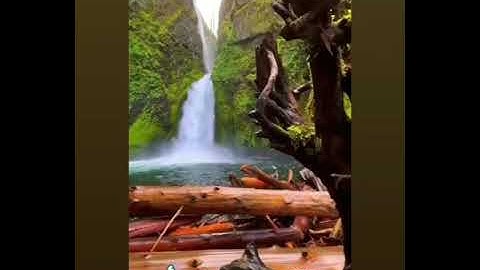 تلاوة مبكية . #القارئ #عبده_علي_رأمي. تخشع لها القلوب وتقشعر لها الأبدان القران الكريم راحة للقلوب