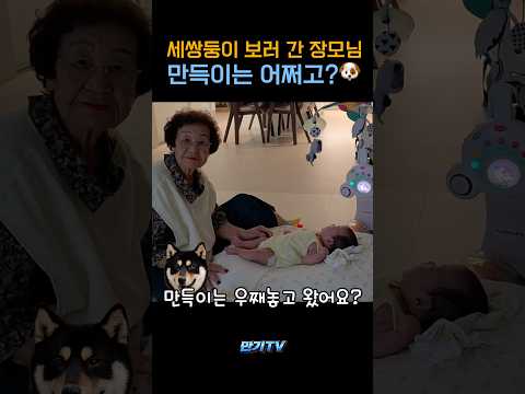 세쌍둥이 보러 간 장모님~ 그렇다면 만득이는 누가 돌보나? #이만기 #좋아요댓글 #baby #구독부탁합니다 thumbnail