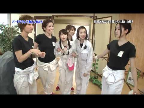 Popular Haruka Kohara & SDN48 videos