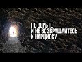 Не верьте  #НАРЦИССУ и не возвращайтесь...