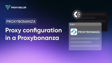 How to set up a proxy in Proxybonanza extension