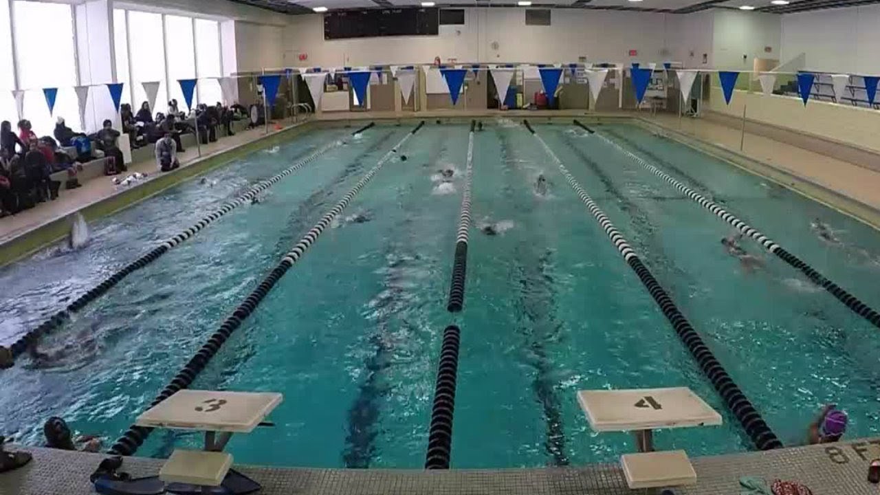 Program makes splash in world of competitive swim YouTube