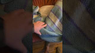 Snug #cutecat #cutedog #animals #winter #cuddles