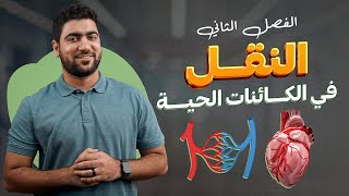 النقل في النبات 🌿 أحياء تانية ثانوي الترم الأول ♥️