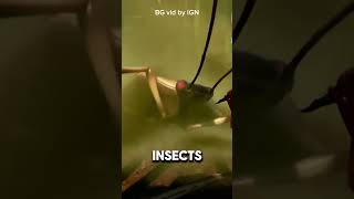 Top 3 cross platform gamepass games #gaming #gamepass #top #crossplay