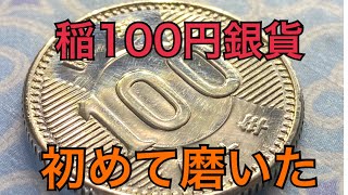 記念硬貨磨き　稲100円銀貨を磨く
