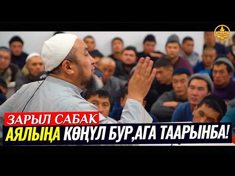 Video: Сабакка кантип көңүл буруу керек?