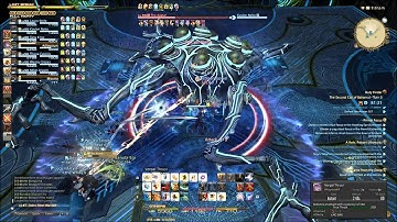 T8 DRG POV (CASUAL PANDAS)