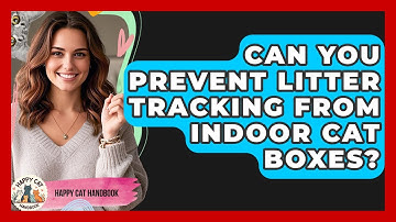 Can You Prevent Litter Tracking From Indoor Cat Boxes? - Happy Cat Handbook