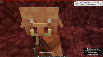 A Nether Life (1.16) 20w07a Datapack Overview