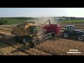 Moisson de bl 2023  alsace  new holland tx 66 